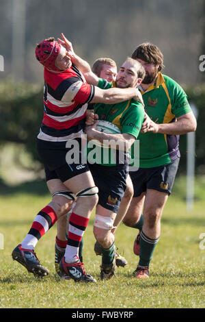 NDRFC 1re XV et XV, 1ère RFC Frome David Marsh d NDRFC à résoudre. Banque D'Images