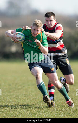 NDRFC 1re XV et XV, 1ère RFC Frome North Dorset player à résoudre. Banque D'Images