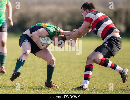 NDRFC 1re XV et XV, 1ère RFC Frome North Dorset player à résoudre. Banque D'Images