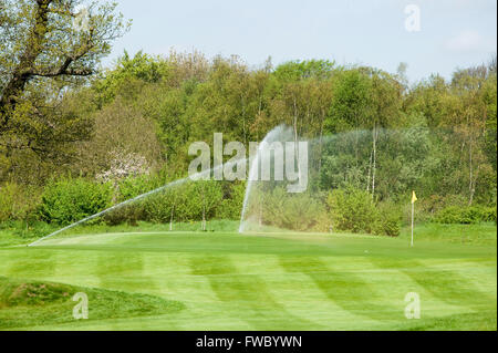 Sprays d'eau sur un grand terrain de golf pendant un jour étés très chauds. Banque D'Images