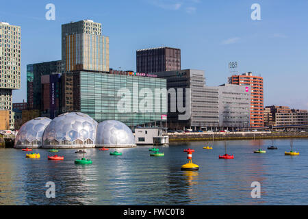 Art Action Dobberend Bos, d'artistes de Rotterdam, une forêt d'ormes, flottant dans les bouées en mer du Nord dans un port, Banque D'Images