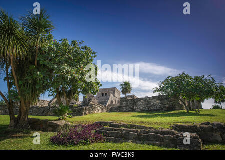 Ruines Maya, Tulum , Mexique Banque D'Images