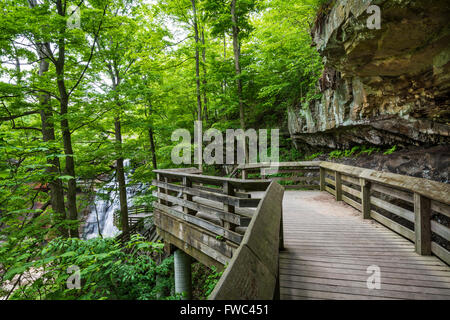 Passerelle en bois mène à Brandywine Falls, parc national de Cuyahoga Valley, OH Banque D'Images