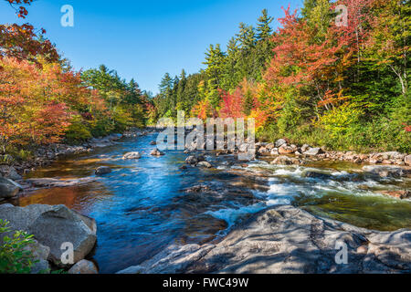 Le feuillage de l'automne reflète sur la Swift River, White Mountain National Forest, NH Banque D'Images