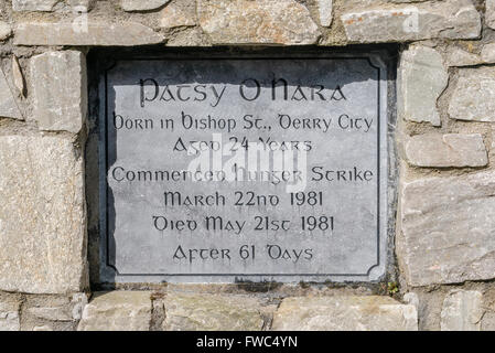 Plaque commémorative dans un jardin du souvenir pour le gréviste de la faim républicain irlandais 1981 Patsy O'Hara Banque D'Images