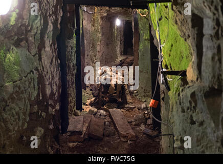 Le parc national du Canada à Vimy est un site commémoratif en France. Banque D'Images