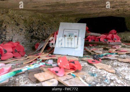 Hill 60 en Flandre, situé à environ trois kilomètres au sud-est d'Ypres, Belgique. World War 1 casemate. T Banque D'Images