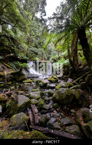 Horseshoe Falls, parc national du mont Field, Tasmanie, Australie Banque D'Images