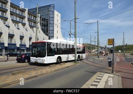 HTM Buzz' dans le bus tram et bus la ségrégation dans Scheveningen Banque D'Images