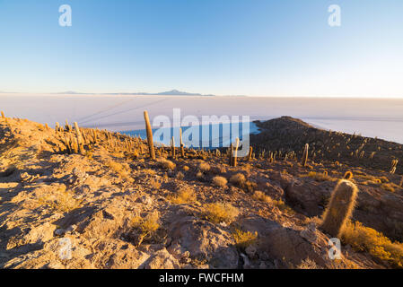 Vue grand angle de l'Uyuni Salt Flat, la plus importante destination de voyage en Bolivie. Cliché pris à l'aube de la s