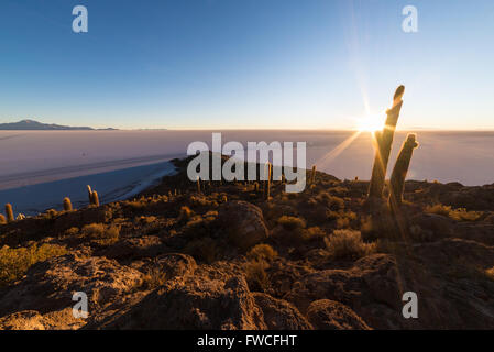 Le soleil levant à l'horizon, les majestueux de sel d'Uyuni, la plus importante destination de voyage en Bolivie. Un large Banque D'Images