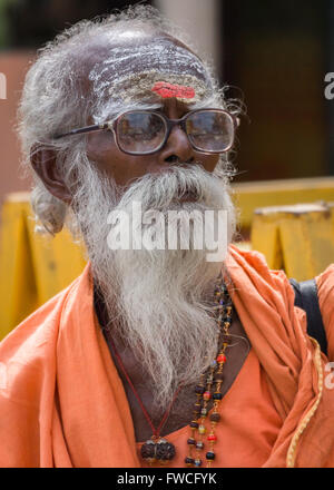 Mumbai, Inde - le 15 octobre 2013 : vieux sadhu grisonnants, avec barbe et lunettes. Porte un costume orange et a son front trempé d'une Banque D'Images