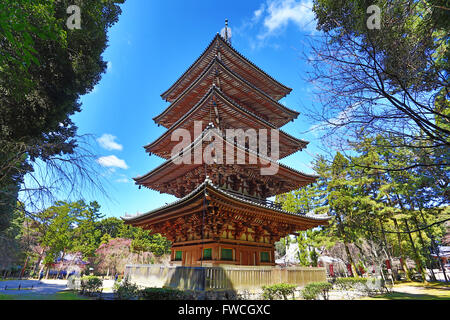 La pagode à cinq étages du temple bouddhiste Daigoji à Kyoto, au Japon, le plus vieux bâtiment à Kyoto Banque D'Images