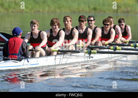 L'équipe d'aviron de l'Université de Cork (L-R) Daniel O'Callaghan, Tradhg Buckley, John Griffin, Padraic O'Connell, Conor Lucey, Mike Kennedy, Kevin Synnott, Ian Kerins et Paul Ryan il bataille aginist l'Université Queen's de Belfast, dans l'épreuve des hommes supérieurs cette année au Ramada Plaza University Boat Race 2013 sur la rivière Lagan, Belfast, 8 juin 2013. Banque D'Images