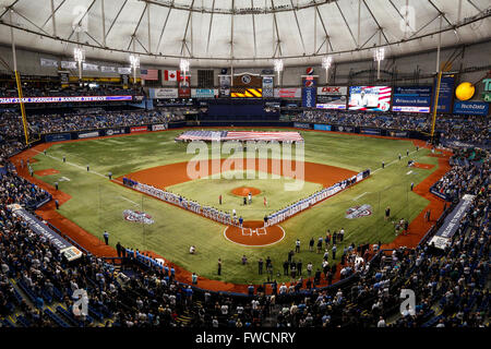 Saint Petersburg, Florida, USA. 3ème apr 2016. LOREN ELLIOTT | fois.L'hymne national est effectuée avant un jour d'ouverture match entre les Rays de Tampa Bay et les Blue Jays de Toronto au Tropicana Field à Saint-Pétersbourg, en Floride, le dimanche 3 avril 2016. Credit : Loren Elliott/Tampa Bay Times/ZUMA/Alamy Fil Live News Banque D'Images