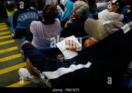 Saint Petersburg, Florida, USA. 3ème apr 2016. LOREN ELLIOTT | fois.Un ventilateur continue de marquer au cours d'une journée d'ouverture match entre les Rays de Tampa Bay et les Blue Jays de Toronto au Tropicana Field à Saint-Pétersbourg, en Floride, le dimanche 3 avril 2016. Credit : Loren Elliott/Tampa Bay Times/ZUMA/Alamy Fil Live News Banque D'Images