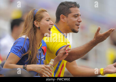 Boca Raton, FL, USA. 29 mai, 2013. L'Équateur fans lors d'un match amical contre l'Allemagne à FAU Stadium à Boca Raton, Floride le 29 mai 2013. L'Allemagne a gagné 4-2.ZUMA PRESS/Scott A. Miller © Scott A. Miller/ZUMA/Alamy Fil Live News Banque D'Images