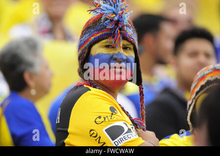 Boca Raton, FL, USA. 29 mai, 2013. L'Équateur fans lors d'un match amical contre l'Equateur à FAU Stadium à Boca Raton, Floride le 29 mai 2013. L'Allemagne a gagné 4-2.ZUMA PRESS/Scott A. Miller © Scott A. Miller/ZUMA/Alamy Fil Live News Banque D'Images