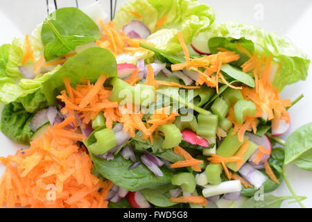 Salade Mixte en santé Banque D'Images