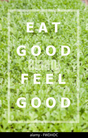 Manger de bons sens bien citation inspirante sur fond de légumes Banque D'Images