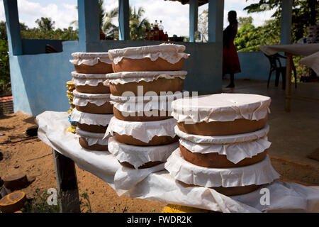 Sri Lanka, Galoya, buffalo caillé dans des pots d'argile pour la vente dans les stall Banque D'Images