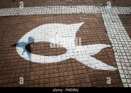 Le symbole de l'Madres de la Plaza de Mayo peint Association dans le plancher avec l'ombre d'une colombe. Banque D'Images