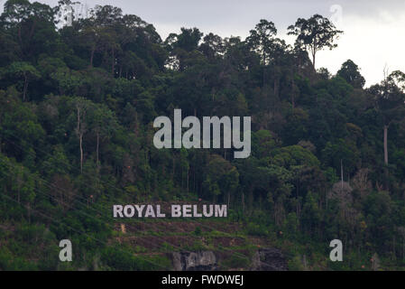 Bandes de champ pont est une passerelle vers les 170 millions d'années principalement les forêts tropicales vierges du Royal Belum State Park. Banque D'Images