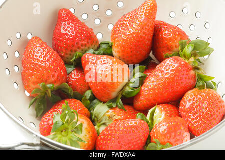 Fraises fraîches dans une passoire Banque D'Images