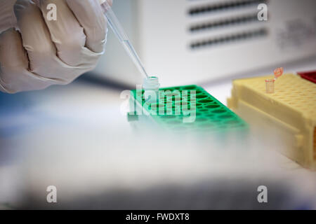 La distribution des échantillons liquides Pipettes de laboratoire laboratoire de tests d'essais en laboratoire l'analyse du sérum de patients analysés bloods Banque D'Images