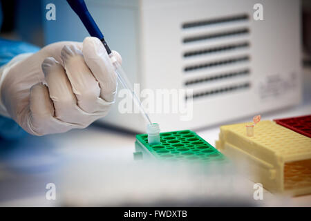 La distribution des échantillons liquides Pipettes de laboratoire laboratoire de tests d'essais en laboratoire l'analyse du sérum de patients analysés bloods Banque D'Images