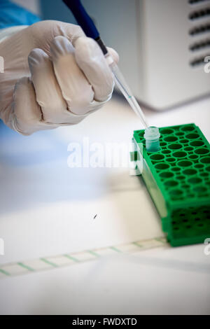 La distribution des échantillons liquides Pipettes de laboratoire laboratoire de tests d'essais en laboratoire l'analyse du sérum de patients analysés bloods Banque D'Images