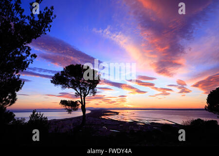 Coucher du soleil à partir de l'état des forêts Pierres blanches, le Mont Saint Clair, Sète, Languedoc-Roussillon, France Banque D'Images