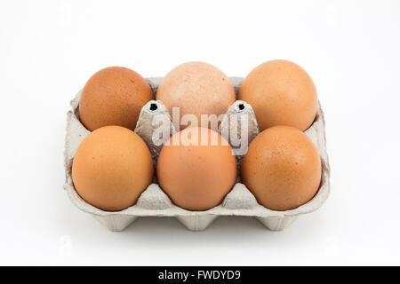 Six oeufs de poule, isolé dans un fond blanc Banque D'Images