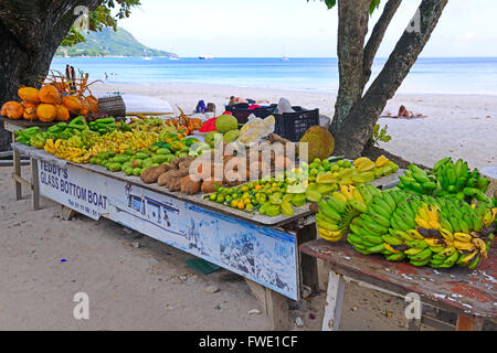 Coco de Mer, Frucht der Seychellenpalme (Lodoicea maldivica), Insel Mahé, Seychellen Banque D'Images