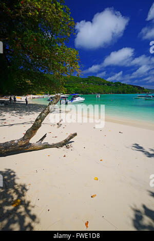 Eingang zum Sir Selwyn Selwyn-Clarke Markt, Victoria, île de Mahé, Seychellen Banque D'Images