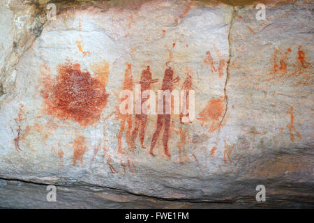 Teeplantage auf der Insel Mahé, Seychellen Banque D'Images