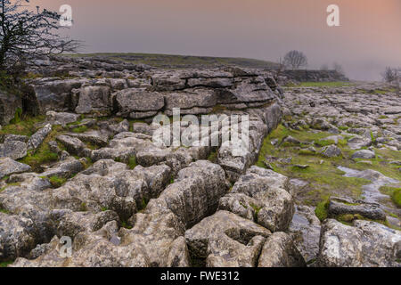 Lapiez à Malham Tarn, Malham Cove, dans le Yorkshire, UK Enlgland Banque D'Images