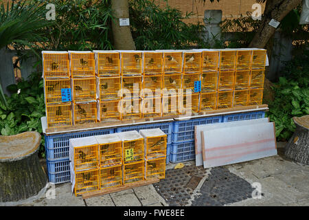 Cages d'oiseaux, et de l'équipement, marché aux oiseaux, Kowloon, Hong Kong, Chine Banque D'Images