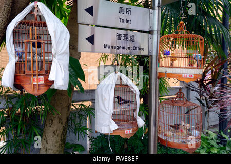 Cages d'oiseaux, et de l'équipement, marché aux oiseaux, Kowloon, Hong Kong, Chine Banque D'Images