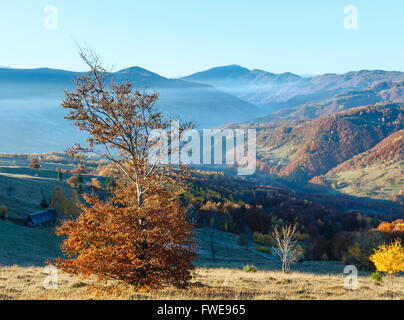 Matin brouillard en automne des Carpates. Pays de montagnes avec des paysages forestiers colorés sur la pente. Banque D'Images