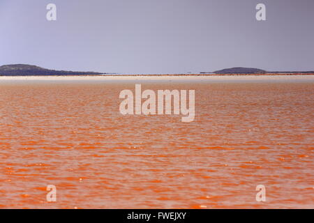 Les eaux du lac rougeâtre-Karum ou Assale-saison sèche-superficiellement inondé par l'orage tombé sur les highlands 3 jours avant-Danakil-Ethiopia Banque D'Images