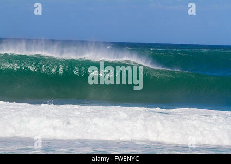 De grosses vagues se briser la côte nord d'Oahu Hawaii pendant un bon moment pour les surfeurs surf. Ces ondes ont un creux de barils Banque D'Images