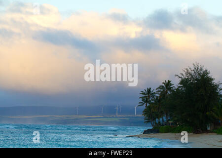 Les régions tropicales de l'île d'Oahu, Hawaii héberge cette immense ferme éolienne juste au-delà des vagues de la Côte-Nord. Ces éoliennes produ Banque D'Images