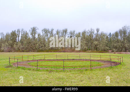 Un cheval cercle de formation à l'extérieur sur le corral à l'herbe d'un centre équestre. Banque D'Images