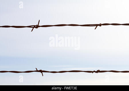 Cette image ne montre rien mais un morceau de fil de fer barbelé contre un ciel nuageux pour créer un fond abstrait très simple avec Banque D'Images