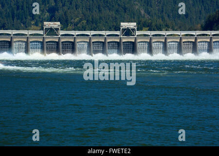 Barrage de Bonneville, Columbia River Gorge National Scenic Area, New York Banque D'Images