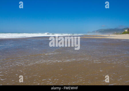 À Olivia Beach à Lincoln City Oregon les vagues sont moelleux et de l'eau semble grande le long de la côte. Banque D'Images