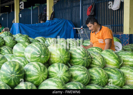 Vendeur de pastèque, Manaus, Amazonas, Brésil, Amérique du Sud Banque D'Images