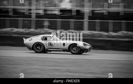 Une Shelby Daytona coupé à la course 2016 Goodwood assemblée des membres. Banque D'Images