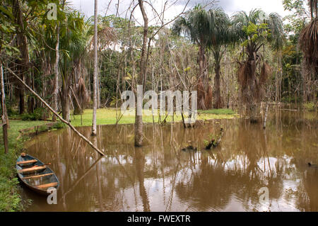 Un bateau dans une zone inondée près de l'Explorama Lodge Explorama environ 80km de Lima, près de la ville de l'Indiana, Iquitos, Loreto, P Banque D'Images